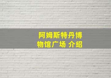 阿姆斯特丹博物馆广场 介绍